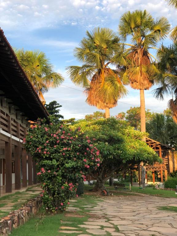 um grupo de palmeiras e flores ao lado de um edifício em Pousada das Palmeiras em Posse