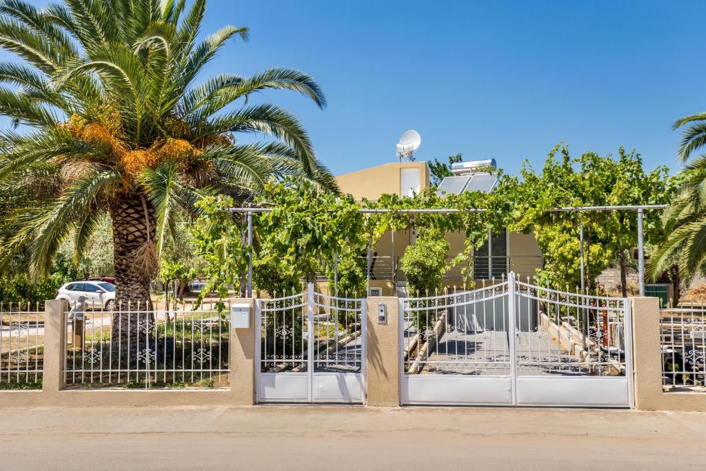 Fotografie z fotogalerie ubytování Apartments Dionysos v destinaci Potos