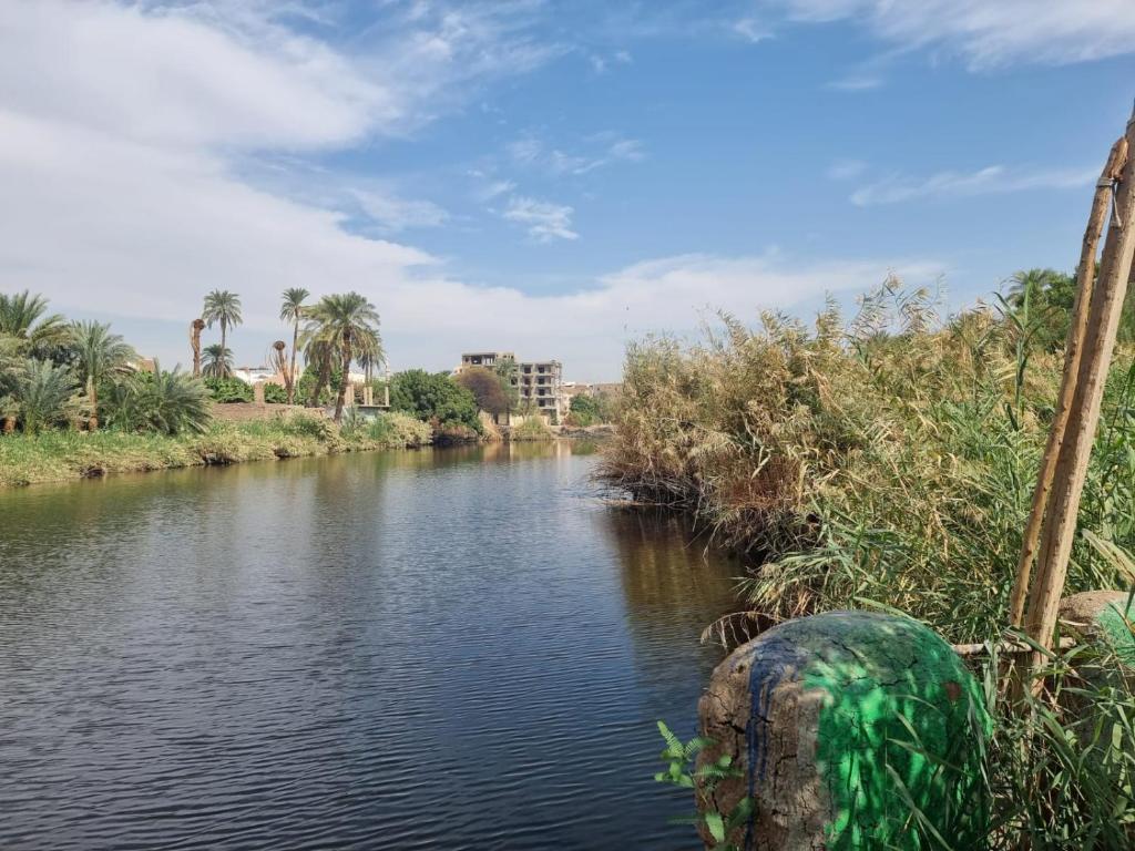 Luxor Old Nile Hotel - 4