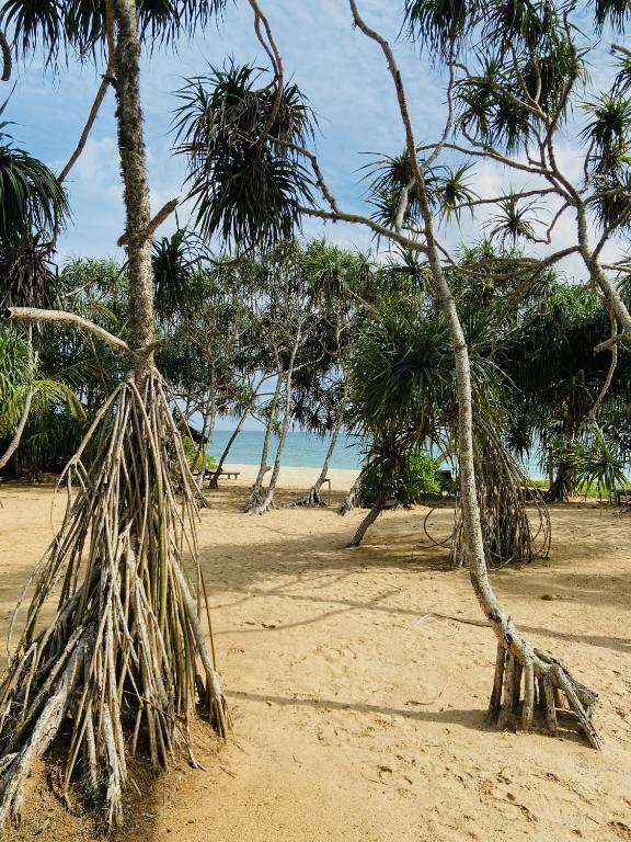 Sanjis The Seaside Cabanas - 19