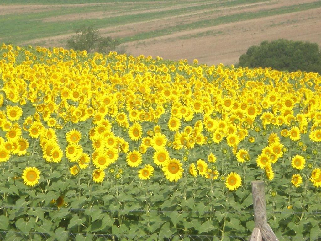 Fotografie z fotogalerie ubytování La Campagna Di Assignano v destinaci Collazzone