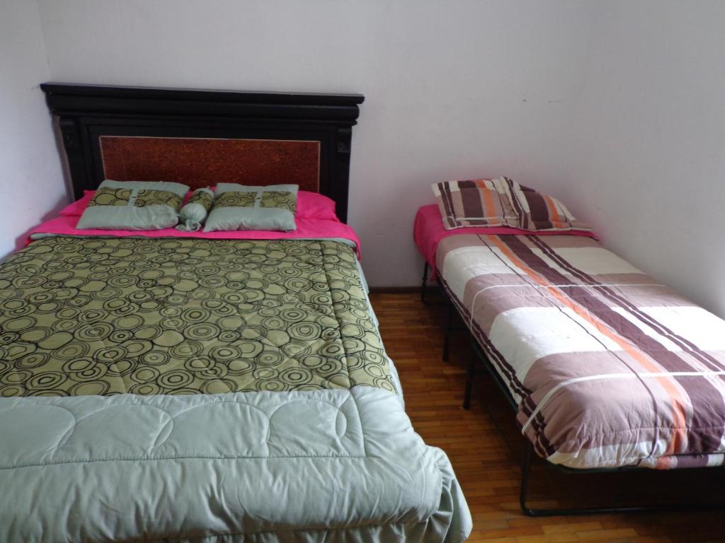 Легло или легла в стая в ESCOCIE- PLAZA GRANDe
