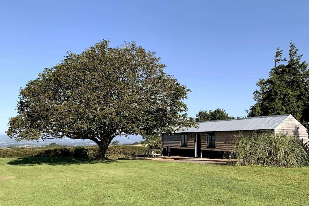 uma casa com uma árvore em frente a um campo em The Cabin at Barnstormers, luxury woodland setting em Marldon