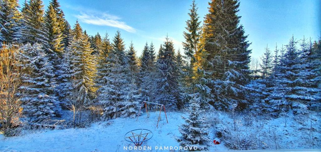NordenPamporovo during the winter