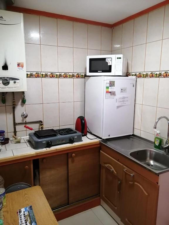 Kuchyň nebo kuchyňský kout v ubytování Bosque Valdiviano Apartment