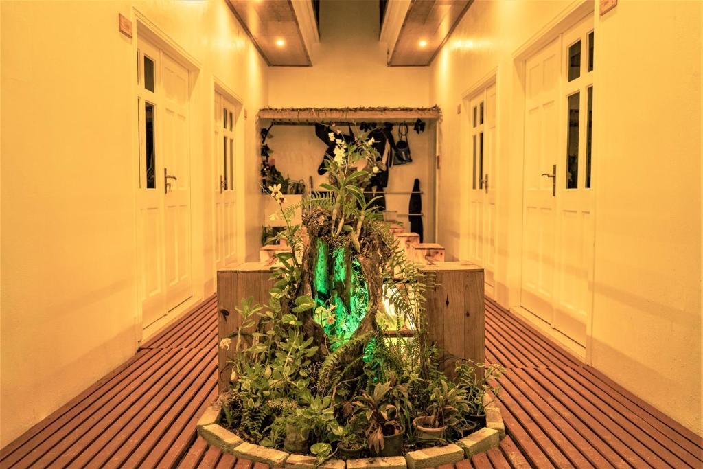 Nala Island Village - 19