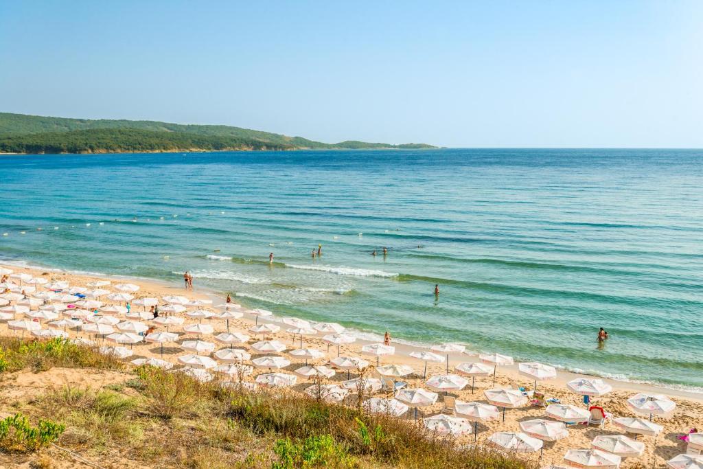 Příroda nedaleko hotelu