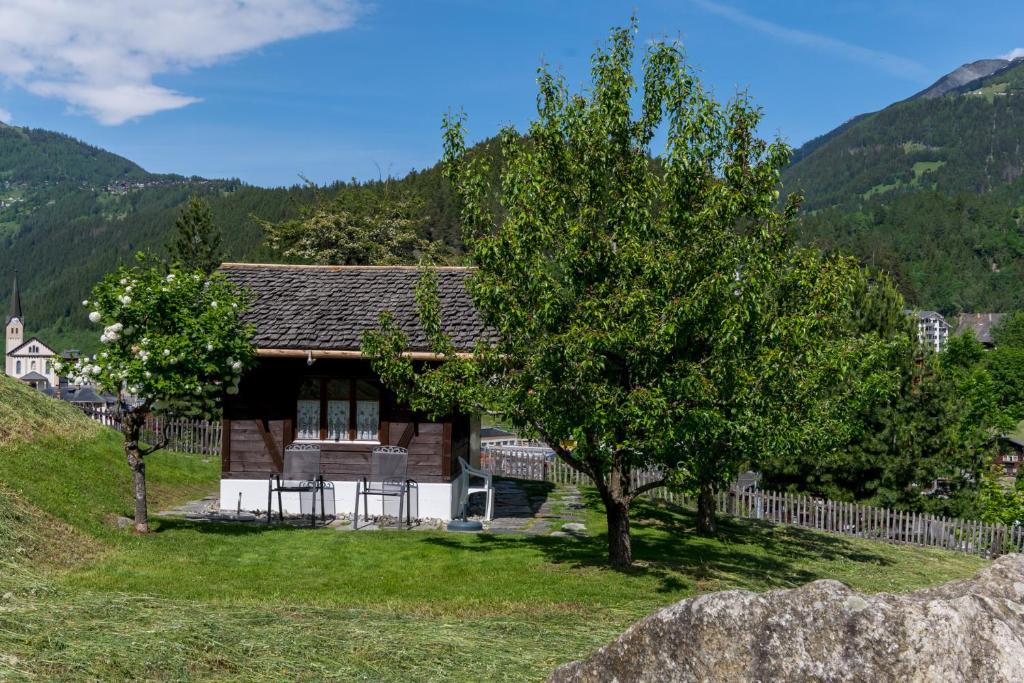Příroda nedaleko apartmánu