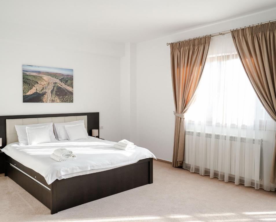 a bedroom with a large bed and a window at Pensiunea Gamas in Putna