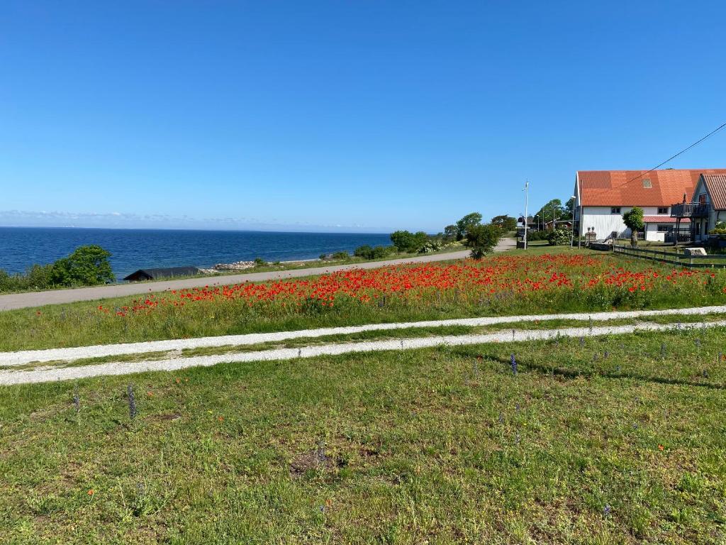 Příroda nedaleko aparthotelu