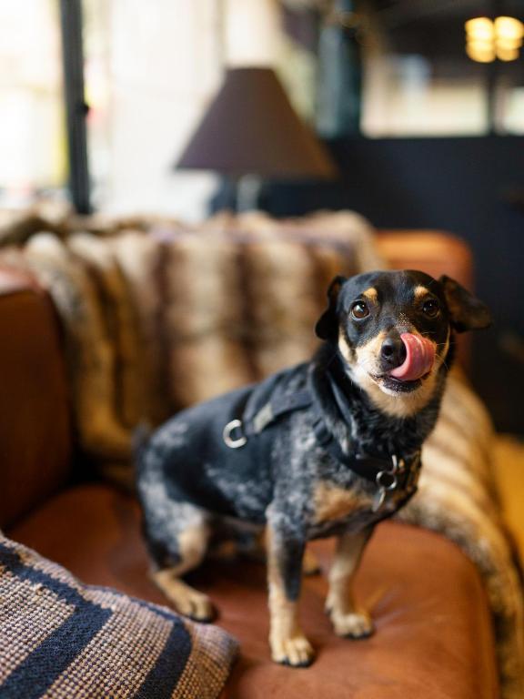 Hôtel Clarisse - Resim 17