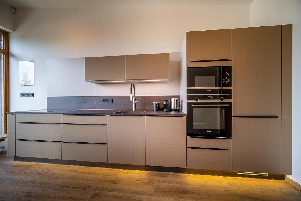 Kuchyň nebo kuchyňský kout v ubytování Lipno Port Apartment C304 - Lipno Home