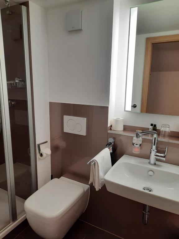 Hotel Reich am Ebnisee - Habitación Individual Con Baño
