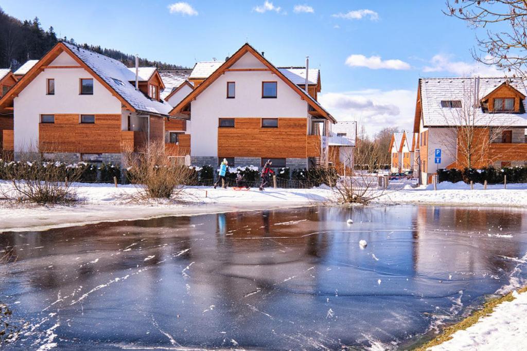 a frozen pond in front of houses in a town at Mýto Apartments BERGMAX, Ski Jasná Chopok 10min transit - Resort Mýto Apartments, parking free in Mýto pod Ďumbierom