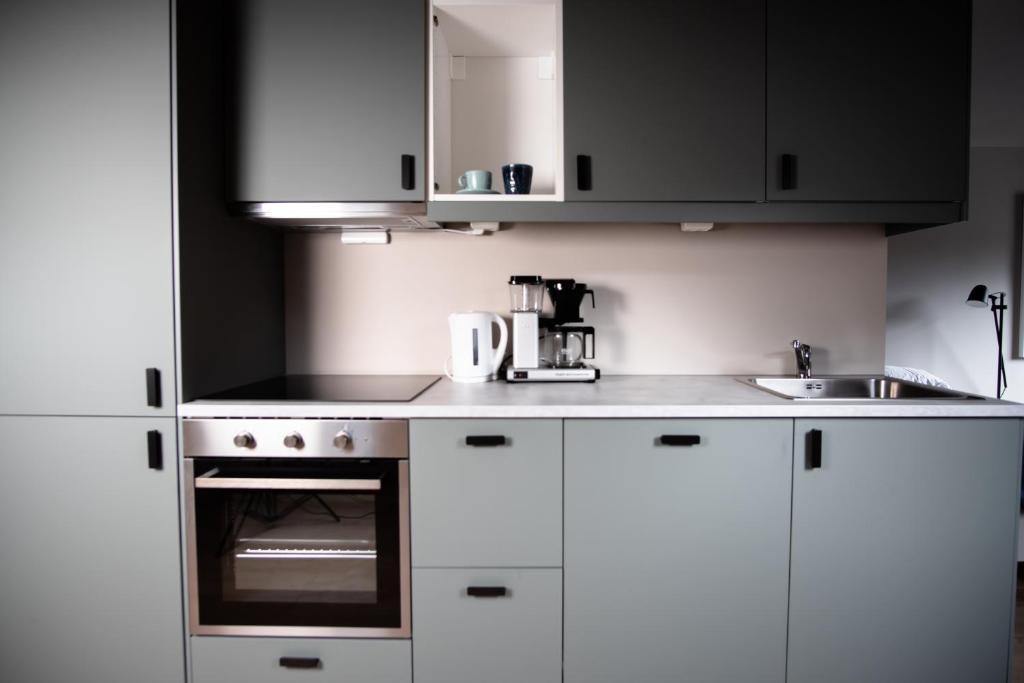 Kuchyň nebo kuchyňský kout v ubytování Trolltunga Odda Apartments