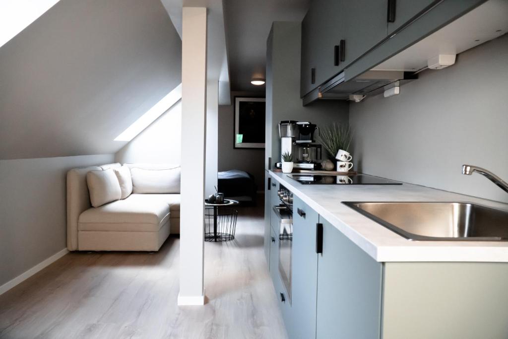 Kuchyň nebo kuchyňský kout v ubytování Trolltunga Odda Apartments