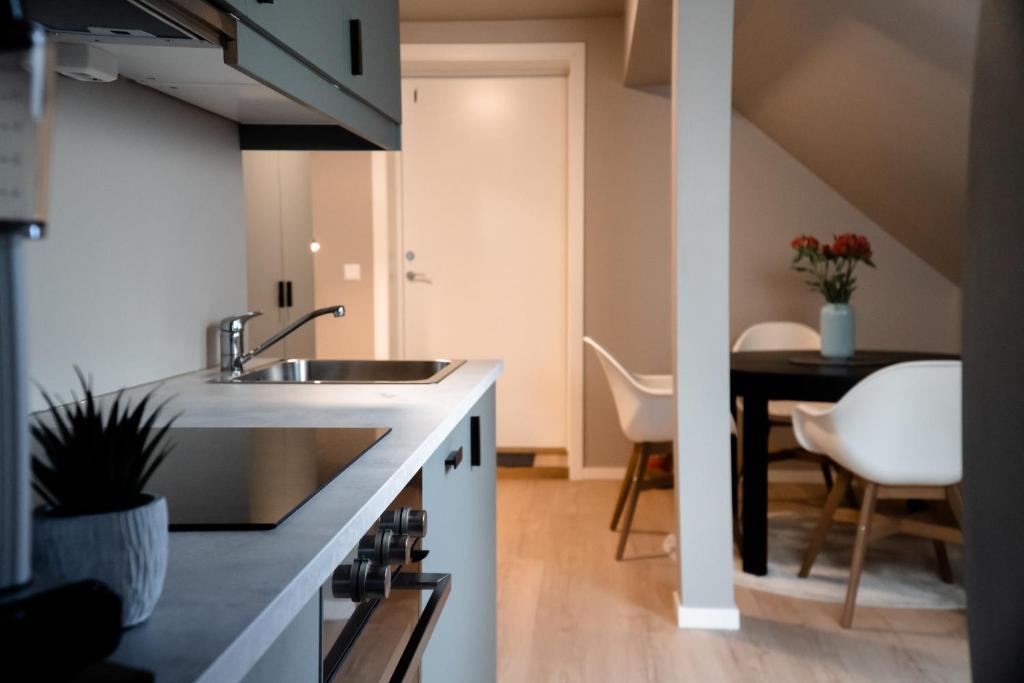 Kuchyň nebo kuchyňský kout v ubytování Trolltunga Odda Apartments