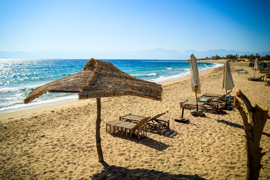 Photo de la galerie de l'établissement Habiba Beach Lodge, à Nuweiba