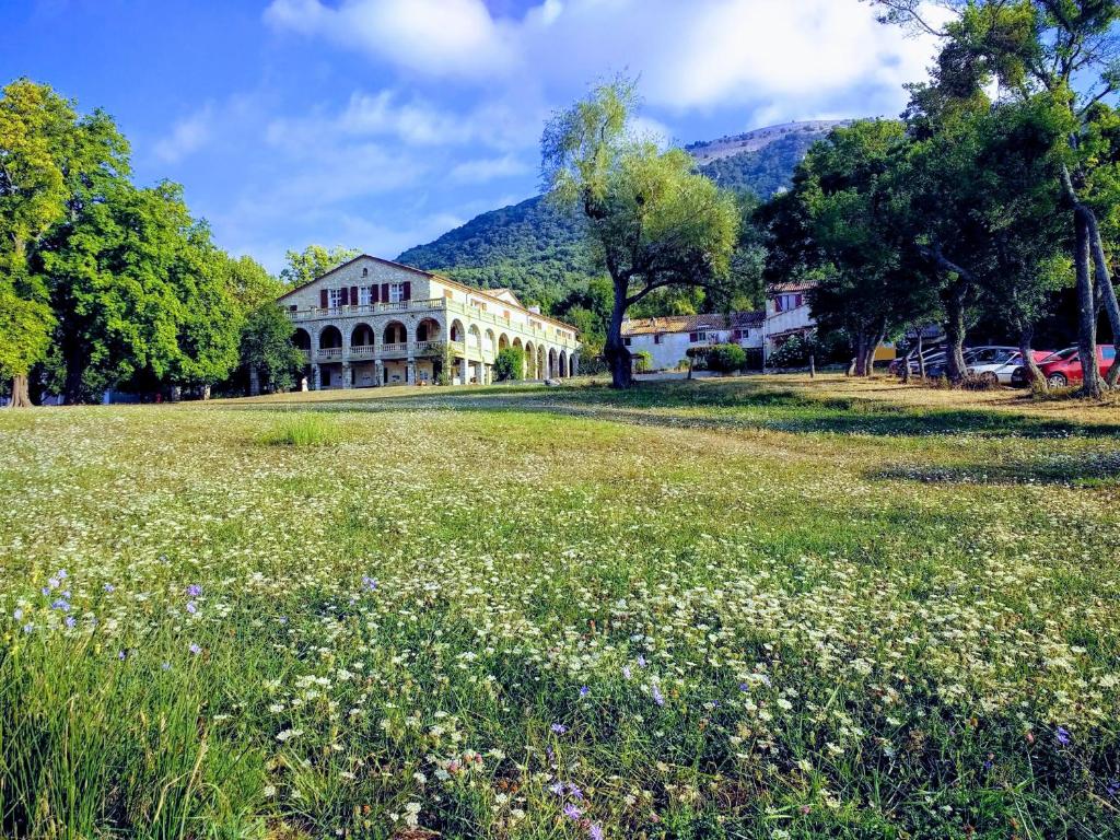 a large field of flowers in front of a building at Gîte Marronnier in Tourrettes-sur-Loup