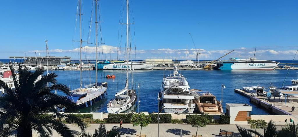 un grupo de barcos atracados en un puerto en Anacasa Puerto Explanada Cervantes AP1102, en Denia