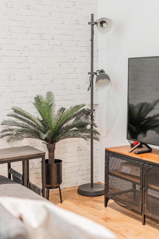 salon z doniczką i telewizorem w obiekcie ZEUS Design Apartments Herz w Wiedniu