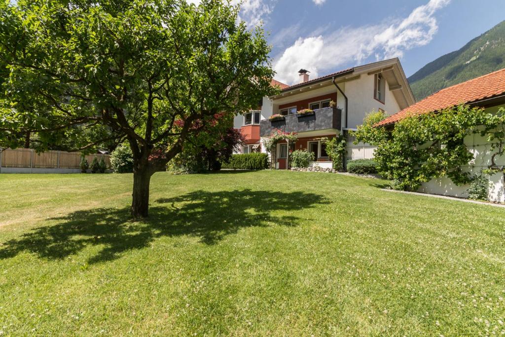 a tree in the yard of a house at Casa Plaickner in Molini di Tures