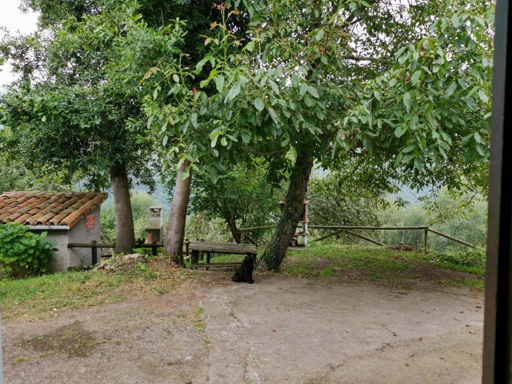 Zahrada ubytování LA COTARAXA