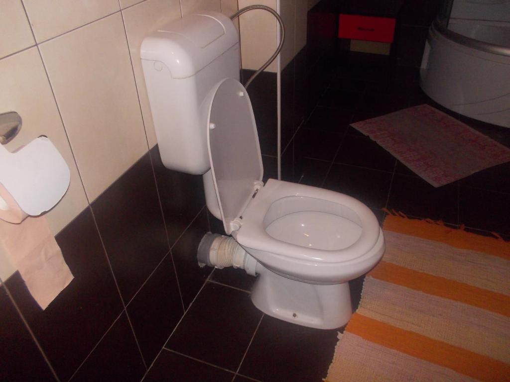Koupelna v ubytování Apartments Agape