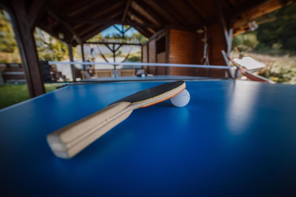 Stolní tenis v ubytování Hotel Relax Sovata nebo okolí