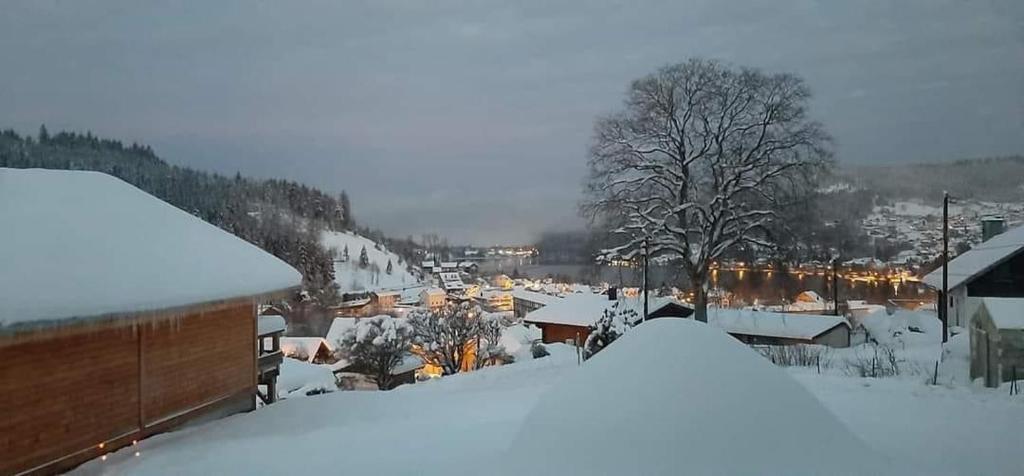 a town covered in snow with snow covered roofs at Entre lac et pistes in Gérardmer