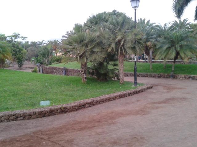 A garden outside Tranquilo apartamento Puerto de la Cruz
