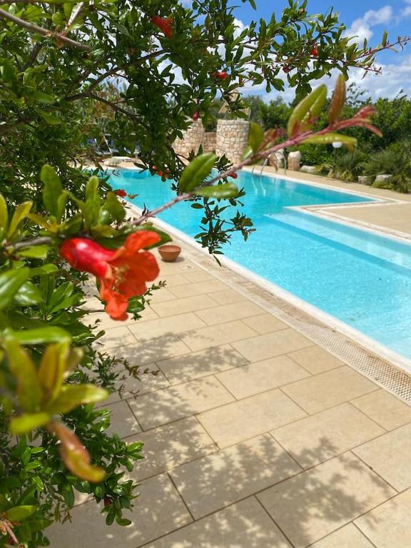 PUGLIAHOLIDAYPLUS-Villa Cassano
