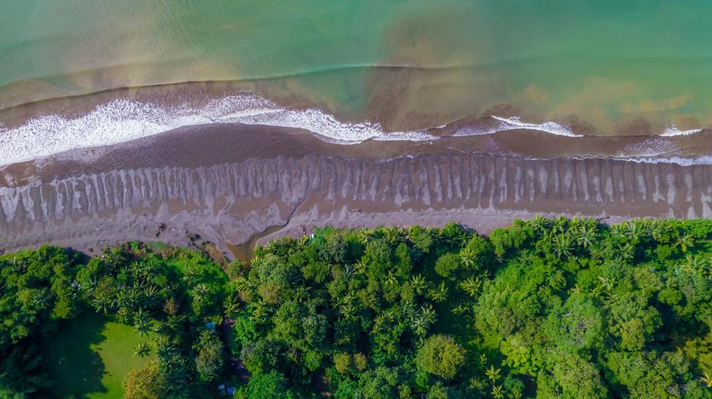 una vista aérea del océano y los árboles en Dolphin Quest Costa Rica en Piedras Blancas