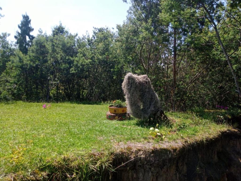 Zahrada ubytování Glamping las 4 estaciones