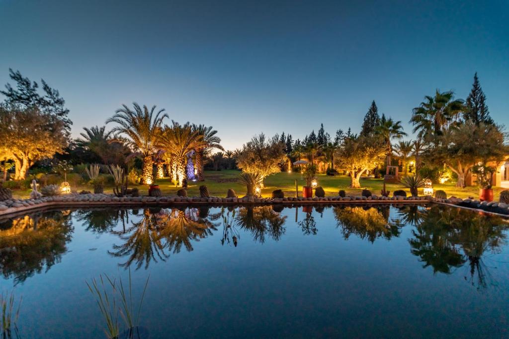 a pond in a park with palm trees at night at Domaine Alma Marrakech in Marrakesh