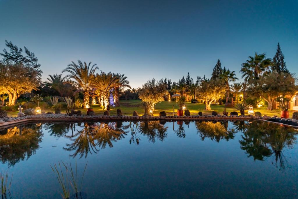 a pond in a park with palm trees at night at Domaine Alma Marrakech in Marrakech