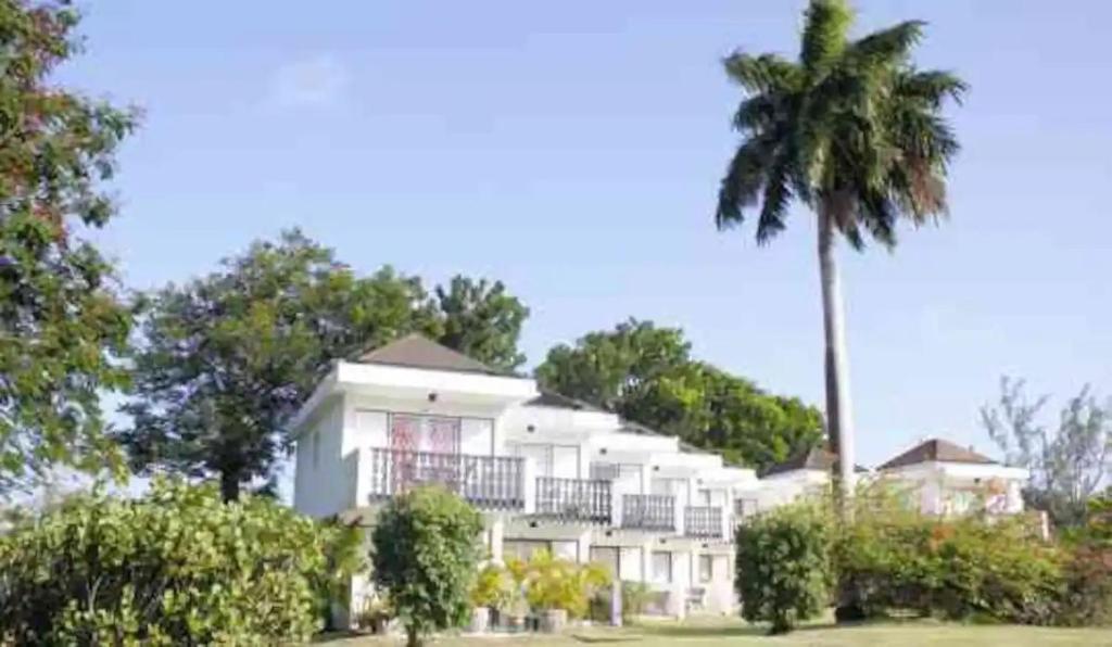 un palmier devant un bâtiment blanc dans l'établissement 126 Friendship, Rockley Golf Club, à Bridgetown