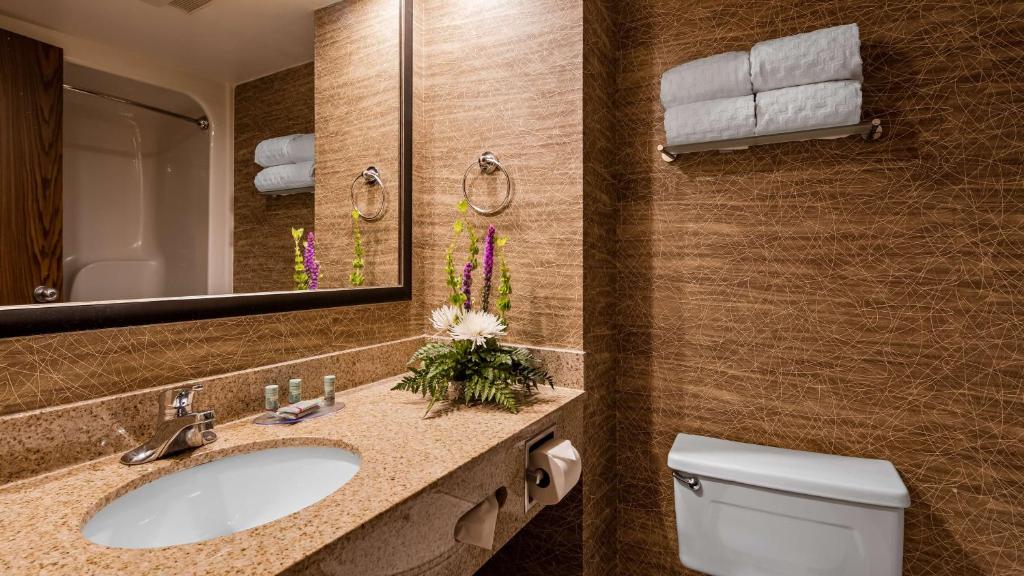 Best Western Detroit Livonia photo