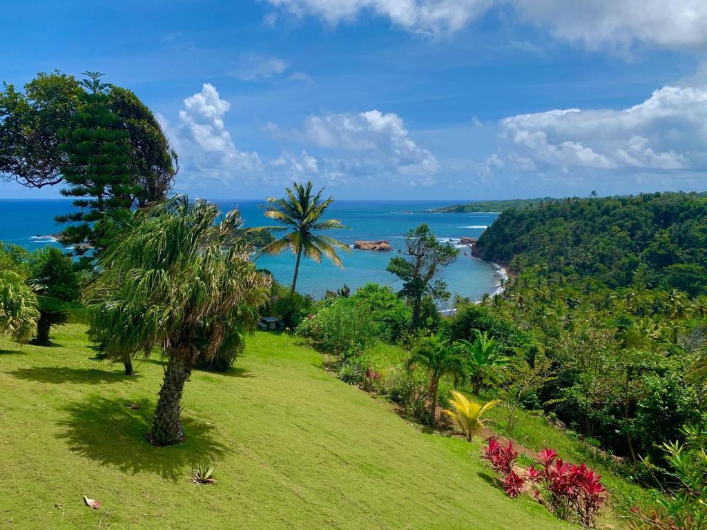 a view of the ocean from a hill with a palm tree at Sea Cliff Eco-Cottages in Calibishie