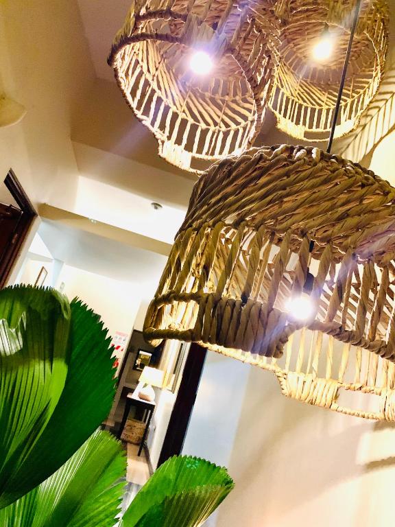 Fotografie z fotogalerie ubytování Hotel Mango Airport v destinaci Alajuela