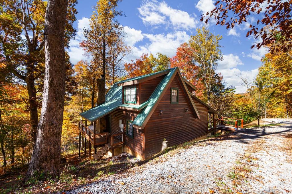 Bama Bear's Den Cabin