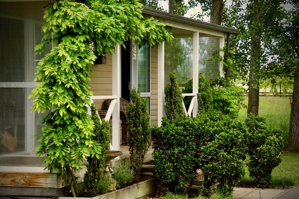 Giardino di Willow Tree Cottage