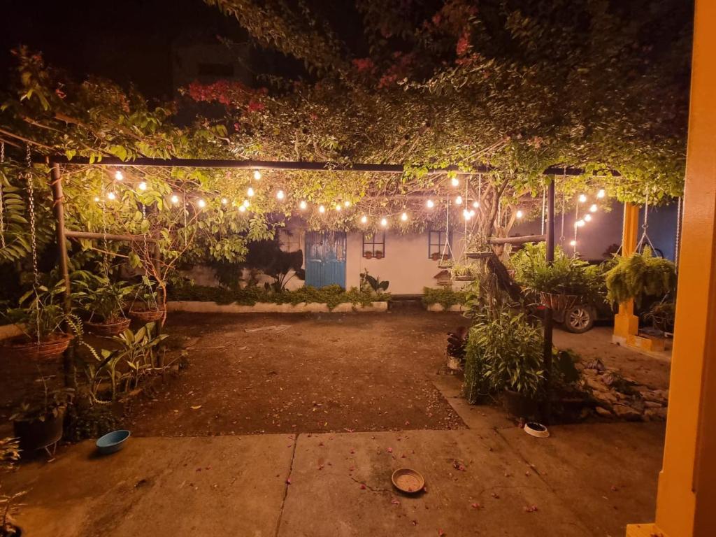una habitación con un montón de luces y plantas en Casa de Luna, en La Dorada