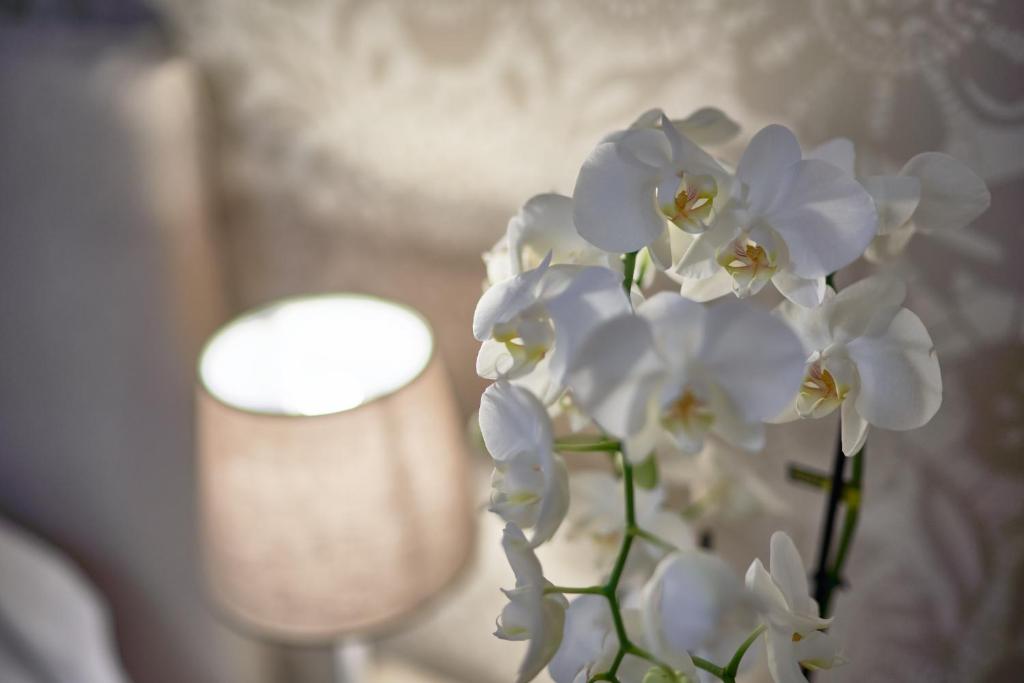 Hotel Clodia - Adults Only - 12