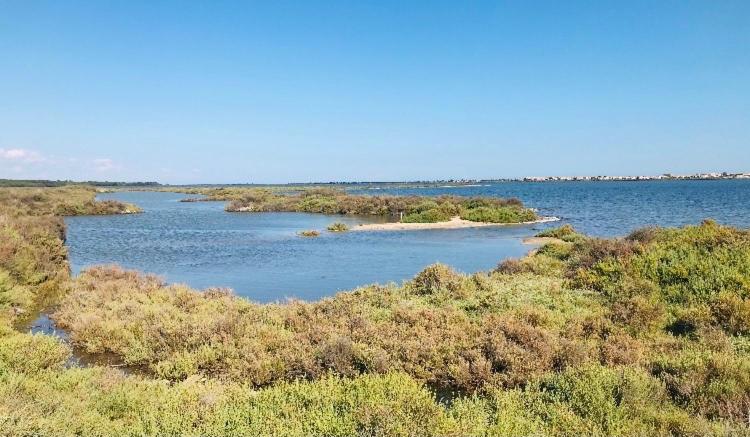 Paesaggio naturale nelle vicinanze dell'appartamento