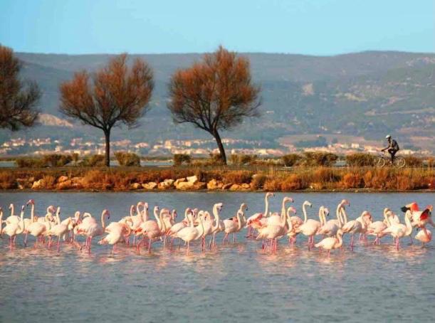 Paesaggio naturale nelle vicinanze dell'appartamento