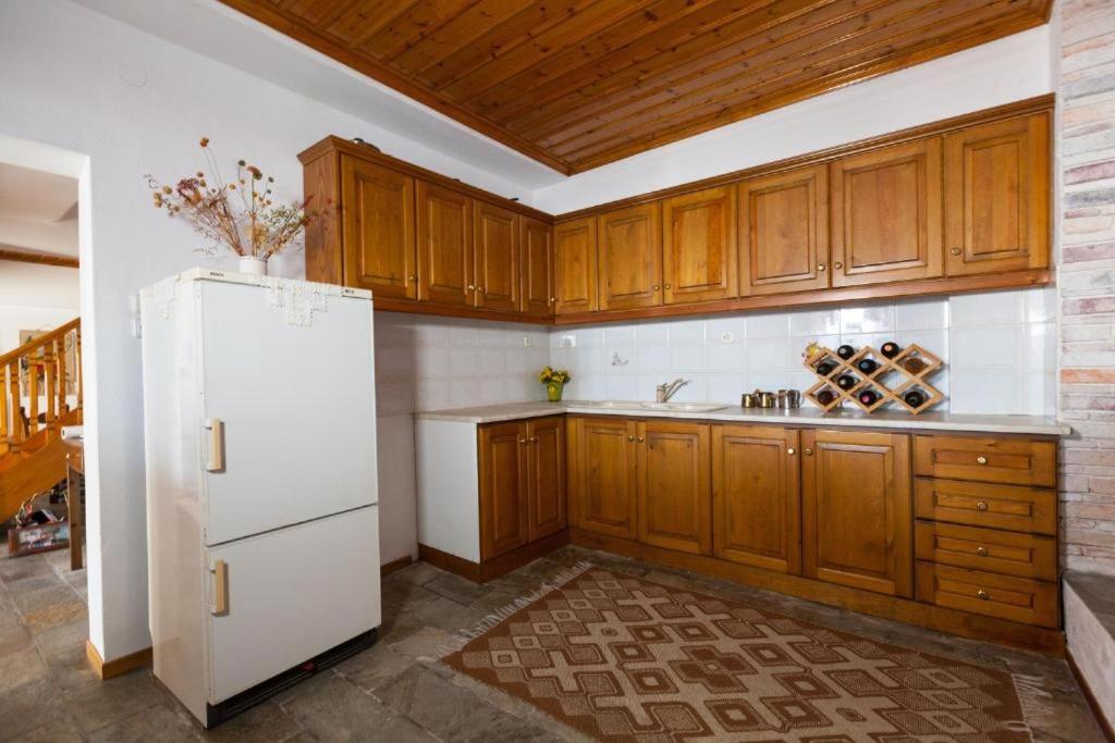 Kuchyňa alebo kuchynka v ubytovaní Eremia Rustic House - Entire Villa in Pelion
