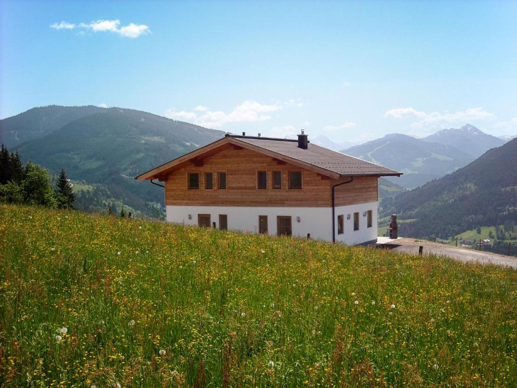 a house on a hill in a field of grass at Holiday Home Auer - EBE116 by Interhome in Eben im Pongau