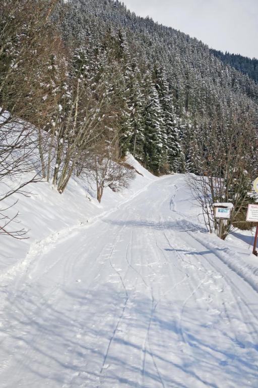Apartment Gasthof Almluft-3 by Interhome during the winter