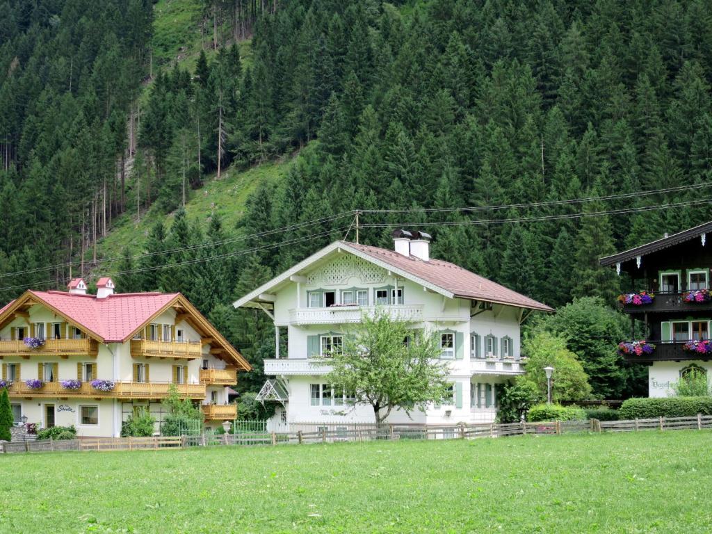 eine Gruppe von Gebäuden auf einem Feld neben einem Berg in der Unterkunft Apartment Rauter - MHO127 by Interhome in Mayrhofen